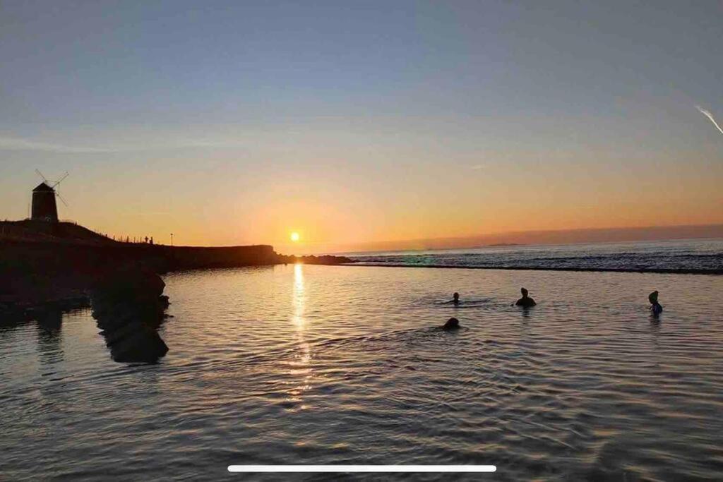 No3 By The Sea A 5 Star Cozy Coastal Cottage Saint Monance Zewnętrze zdjęcie